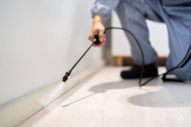 Bed Bug Pre-Treatment Preparation Assessment in Commack