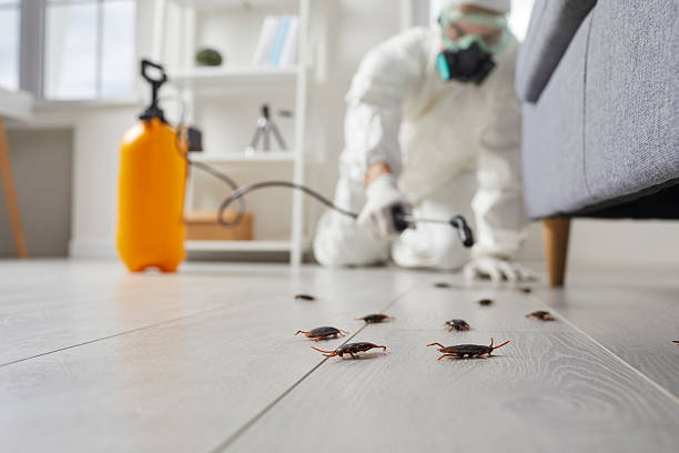 Post-Treatment Bed Bug Interceptor Monitoring in Commack