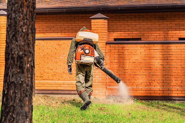 Bed Bug Clearance Verification and Documentation in Commack